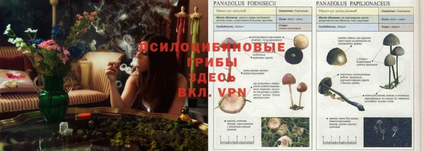 гашишное масло Каменногорск