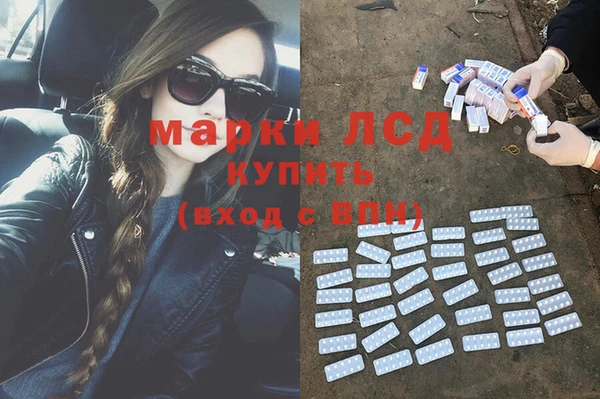 сатива Инта