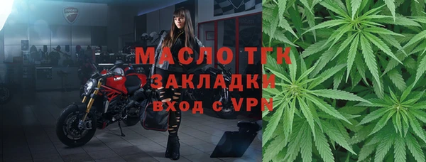 сатива Инта