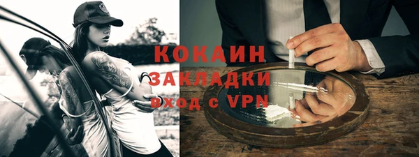 сатива Инта